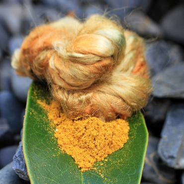 Dyed Fibers With Turmeric by TrendeFemme